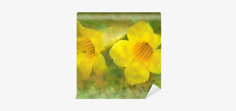 Trumpet Creeper, transparent png
