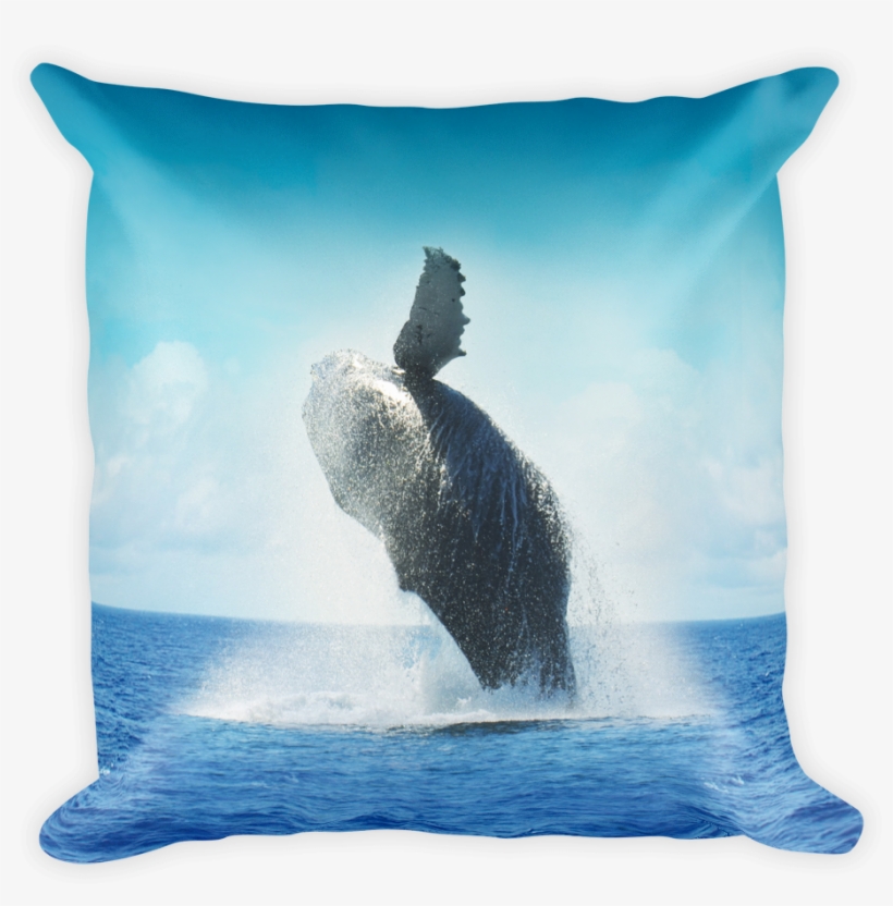 Decorative Throw Pillow / California Humpback Whale - Whales Pocket Monthly Planner 2017 16 Month Calendar, transparent png