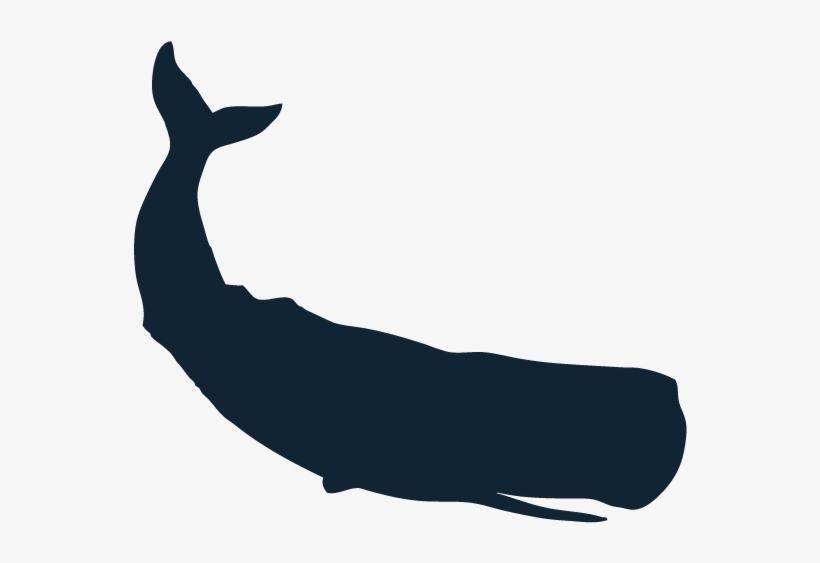 Sponsors - Sperm Whale Silhouette, transparent png