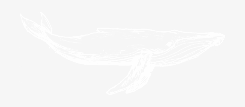 Whales - Illustration, transparent png