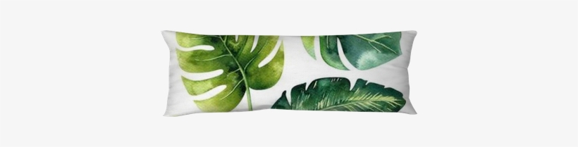 Hand Drawn Watercolor Tropical Plants Set - Watercolor Painting, transparent png