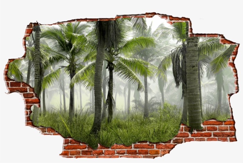 Zapwalls Decals Jungle Tree View Breaking Wall Nature - Palm Trees Forest, transparent png