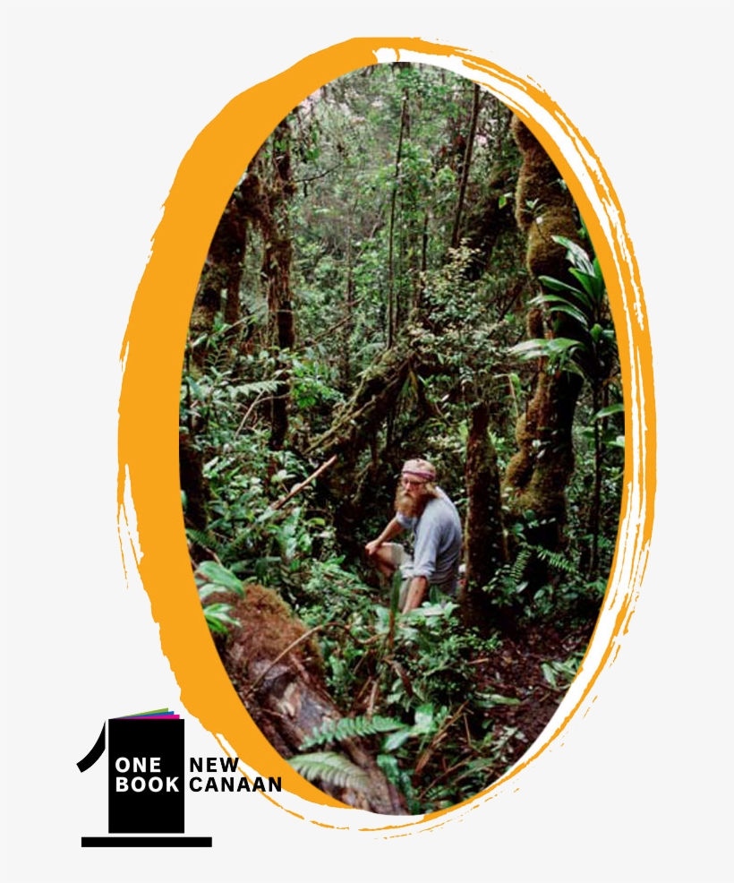 Learn About The Beautiful Rainforest Of Papua New Guinea, - American Larch, transparent png