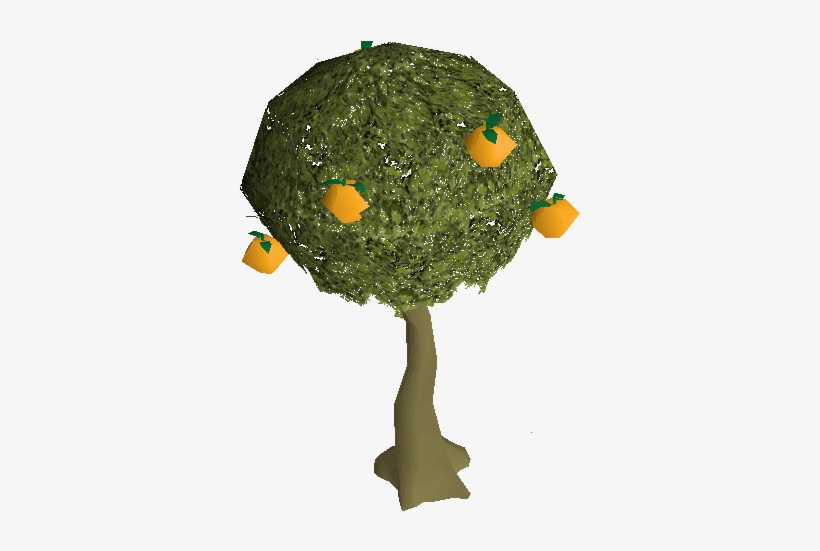 Orange Tree Runescape Orange Tree 385x488 PNG Download PNGkit