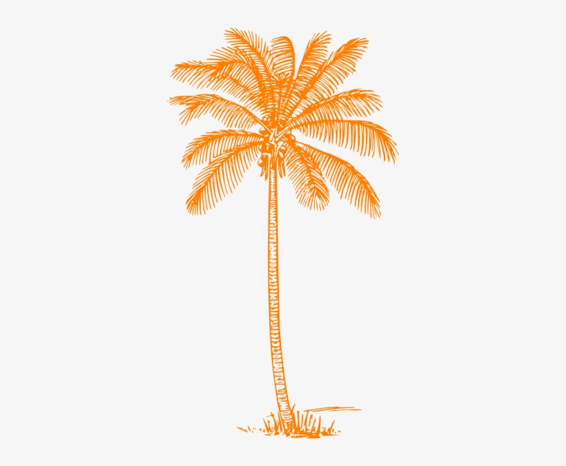 Coconut Tree Pencil Drawing, transparent png