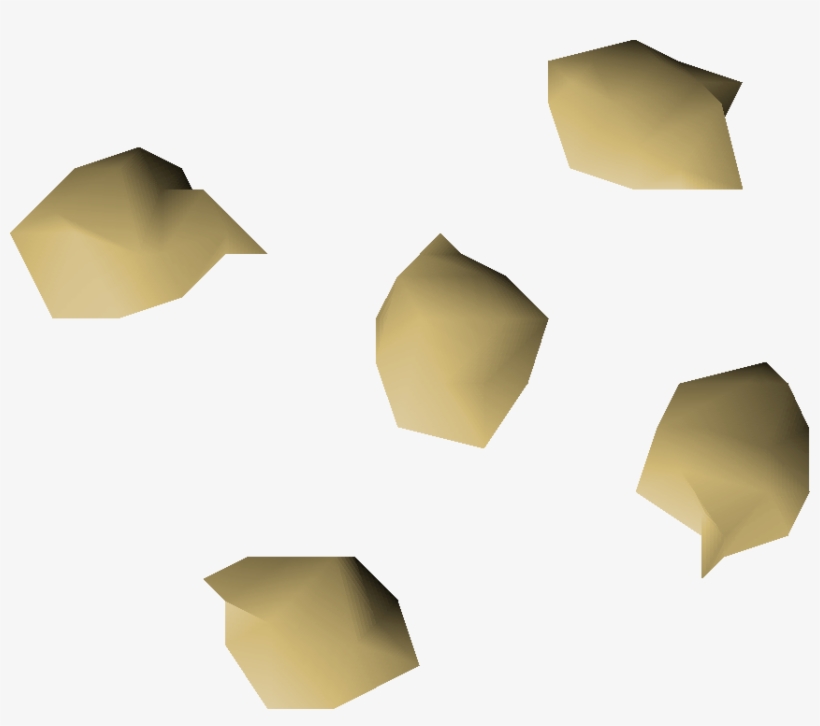 Orange Tree Seed Detail - Wiki, transparent png