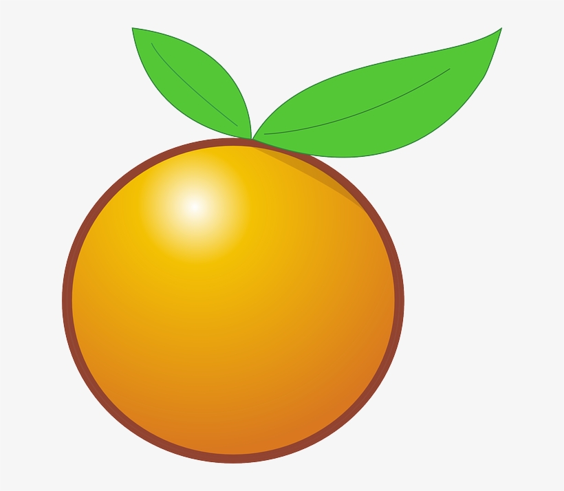 Orange Fruit Clipart Orange Tree - Orange Clipart, transparent png
