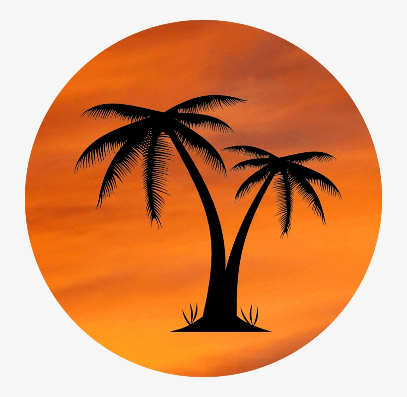 Orange Sky Palm Tree Design - Palm Tree Logo Transparent, transparent png