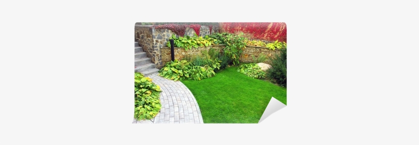 Garden Stone Path With Grass Growing Up Between The - Rock, transparent png