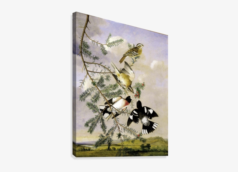 Cave To Canvas Canvas Print - Treasures From The Smithsonian Engagement Calendar, transparent png