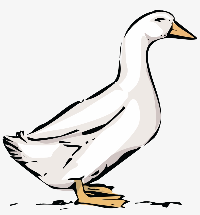 , , - Goose Graphic, transparent png