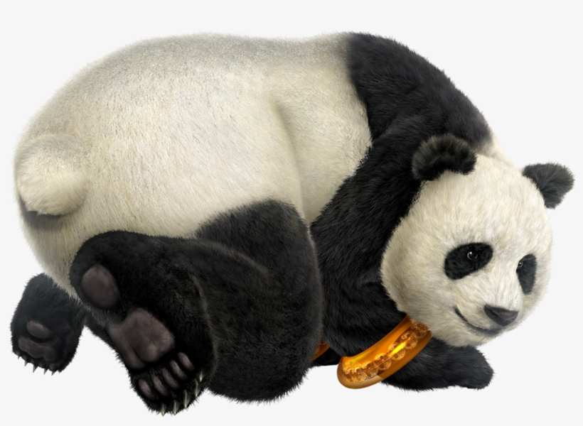 Panda Head Png Download - Tekken 6 Panda, transparent png