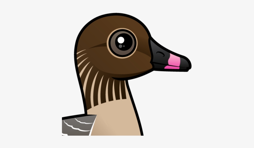 About The Pink-footed Goose - Gans Mit Roten Füßen Grußkarte, transparent png