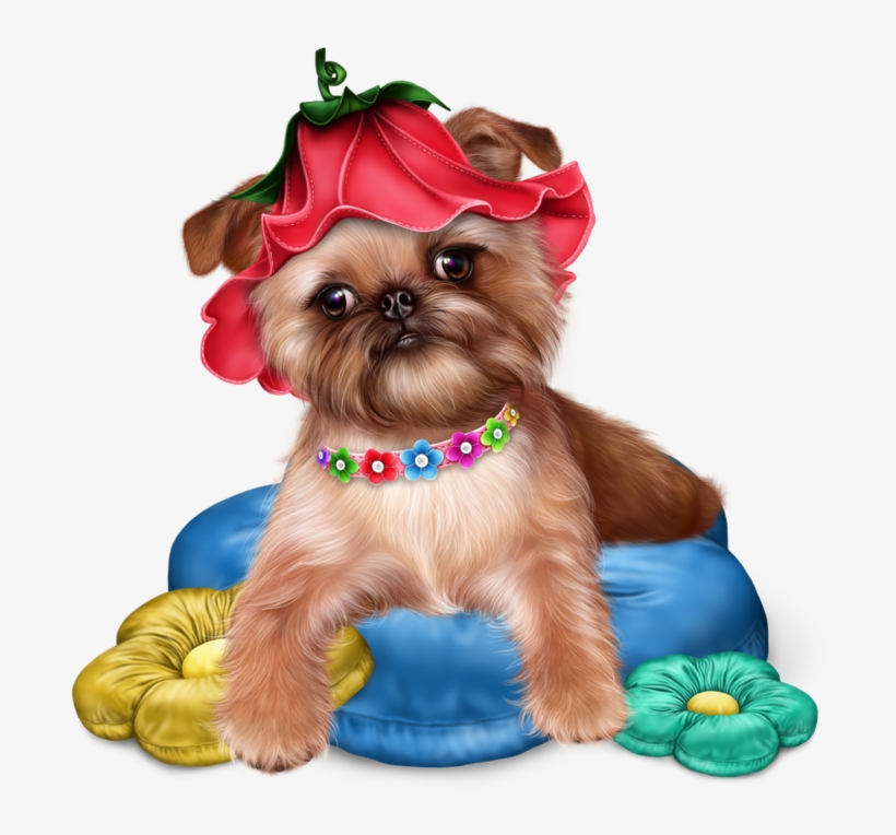 Превью Brussels Griffon Puppy18 Resultaat - Transparent Jaguarwomans Free Png, transparent png