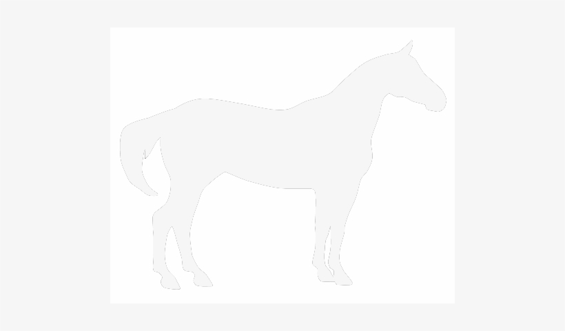 Who We Are - Horse Silhouette Free Vector, transparent png