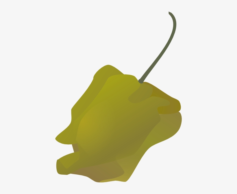 How To Set Use Habanero Pepper Spicy Hot Svg Vector, transparent png