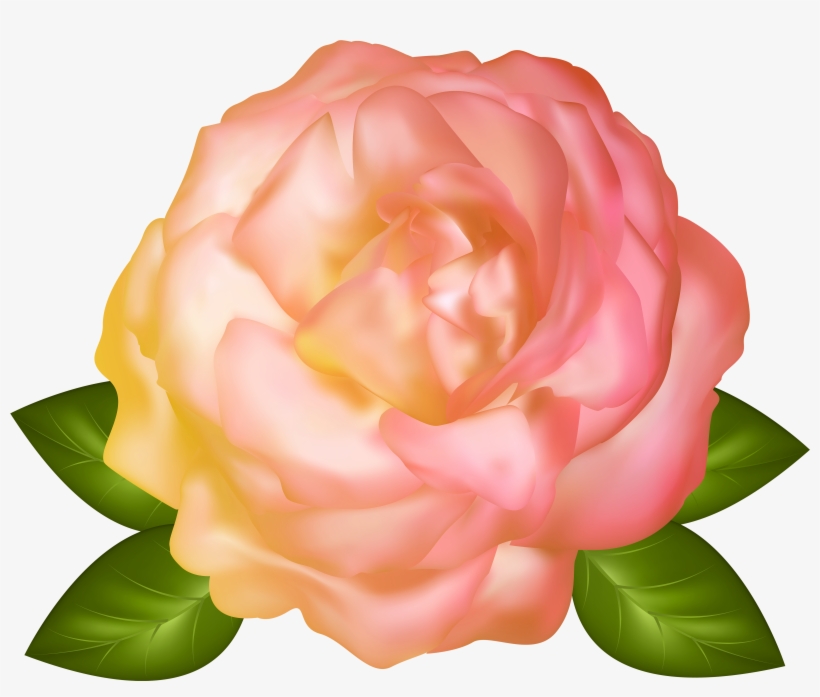 0, - Beautiful Garden Full Hd Images Png, transparent png