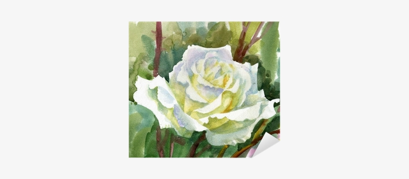 Watercolor Flower Collection - Fleurs Blanches Aquarelles Fleurs, transparent png