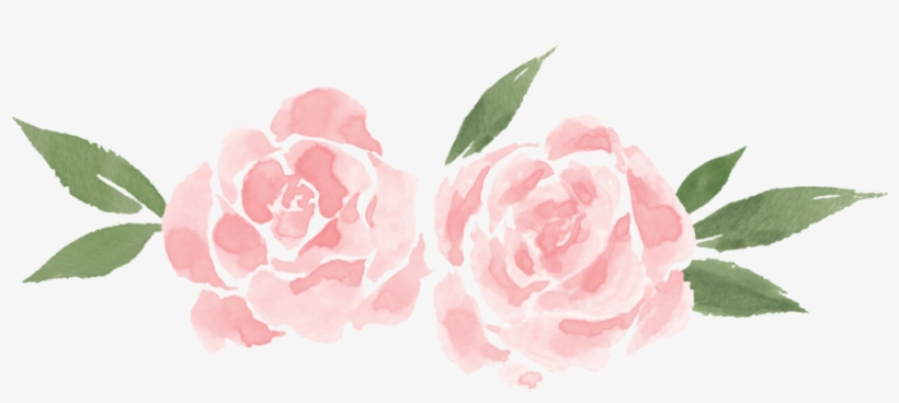 Yellow Roses Png, transparent png