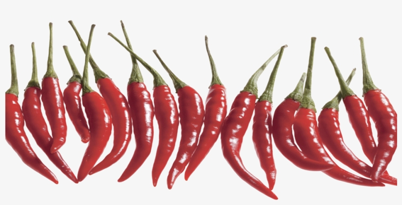 Small Chilli Marketing - Chili Peppers Isolated Png, transparent png