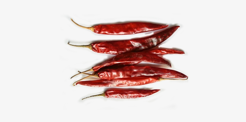 Red Chilly - Wonder Hot Chilli, transparent png