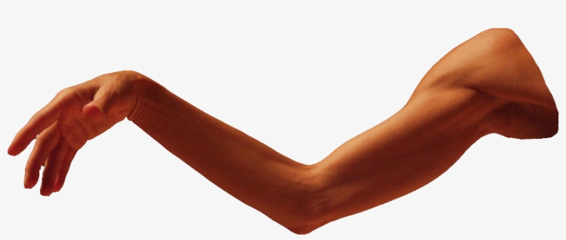 Index Of Workshop Mediaartcamp - Arm Png, transparent png