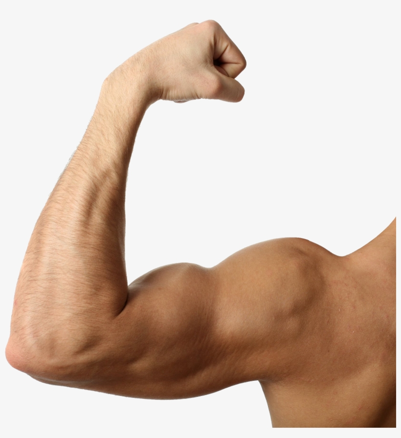 Muscle Arms Png - Stay Fit Eat Allergy Free [book], transparent png