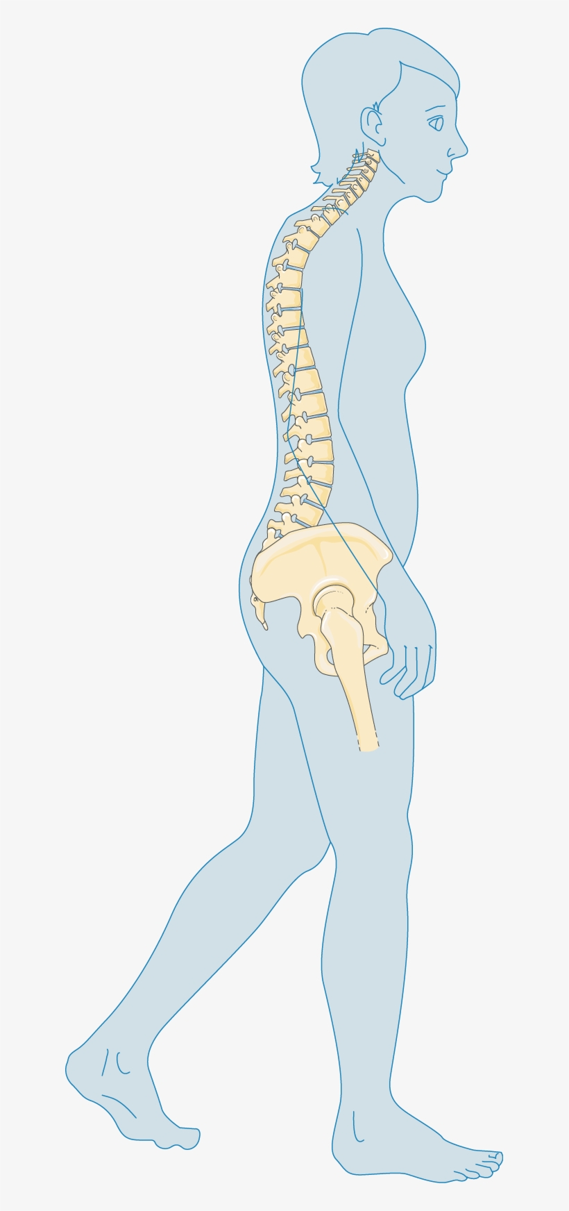 Ménopause - Menopause, transparent png