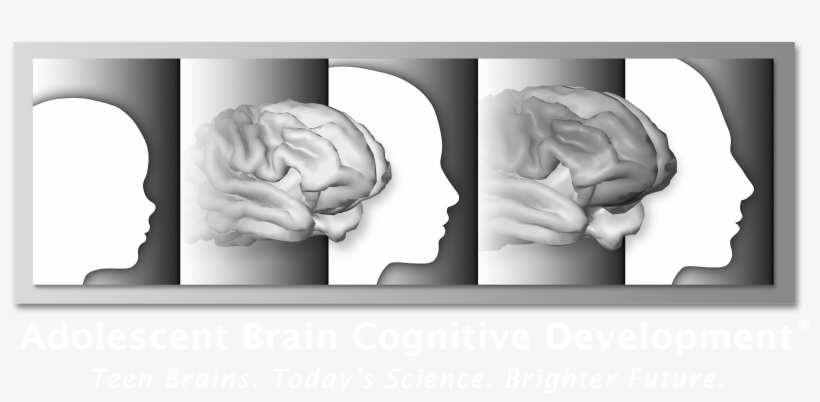 Logo Abcd Whitetext Lg - Abcd Study Posters, transparent png