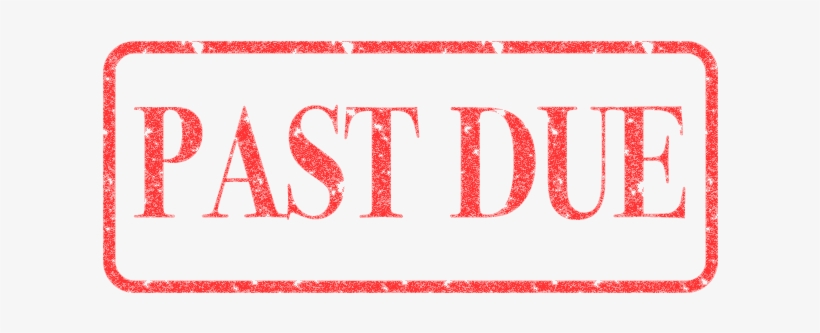 Hayley Hynes - Past Due Transparent, transparent png