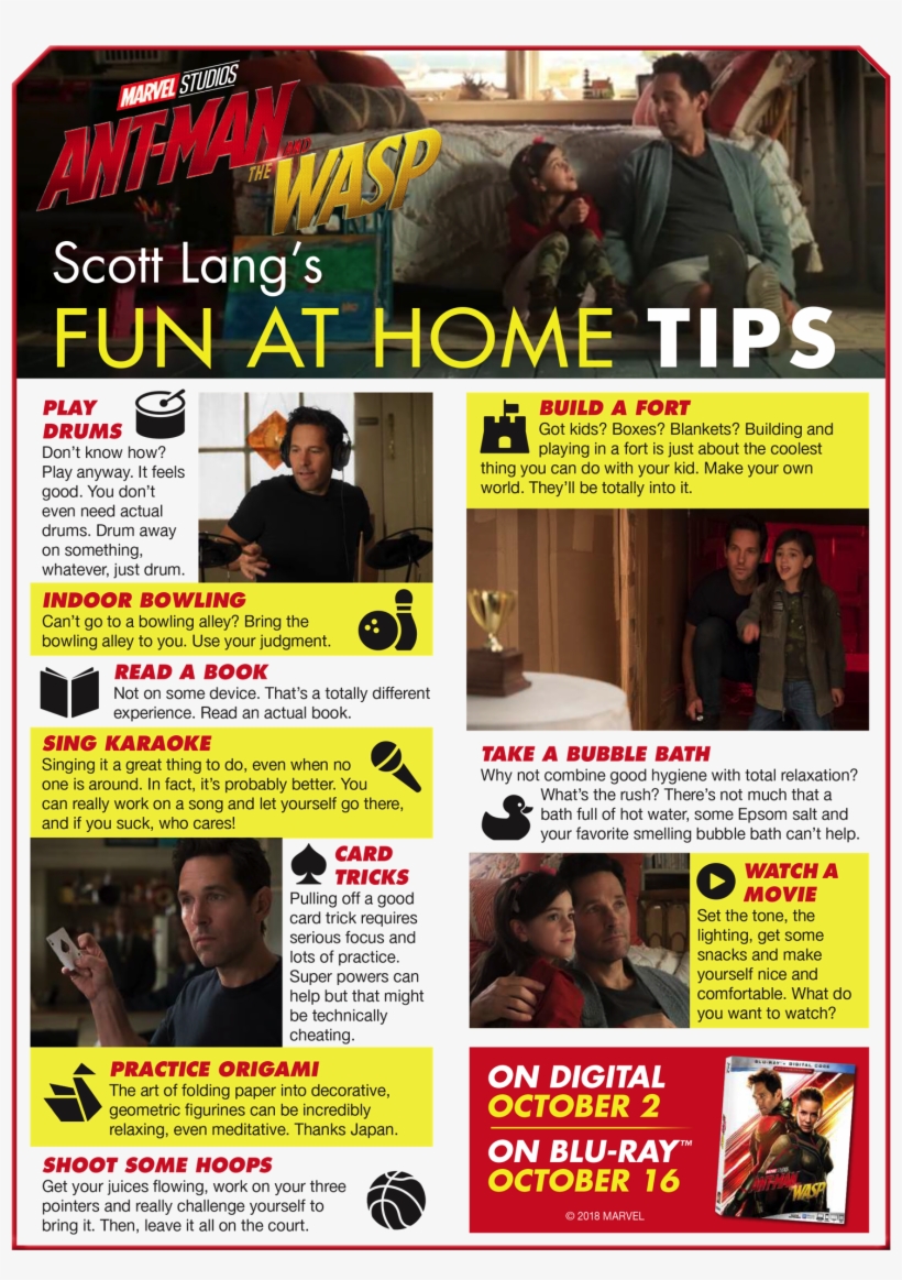 Ant Man And The Wasp Things To Do At Home - Ant-man And The Wasp, transparent png