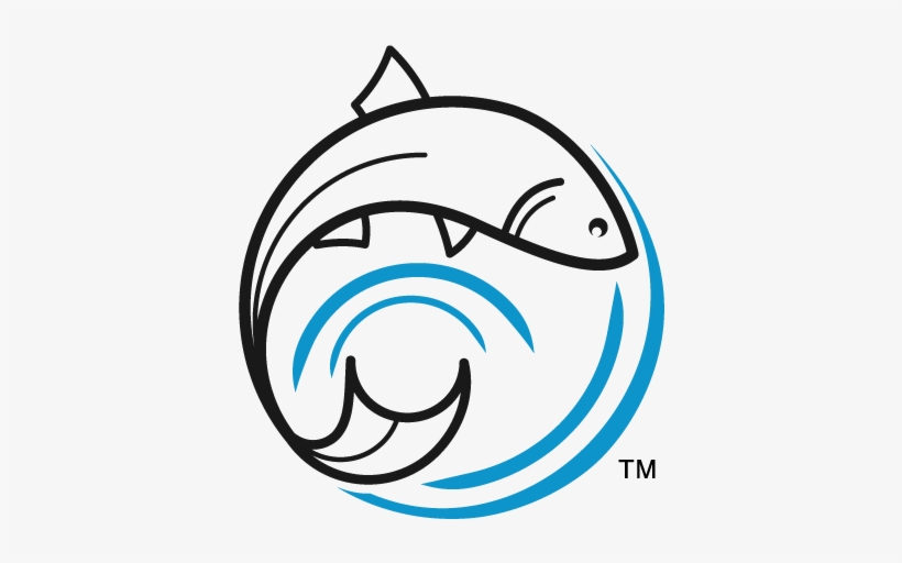 About One Fish Foundation - Fish, transparent png