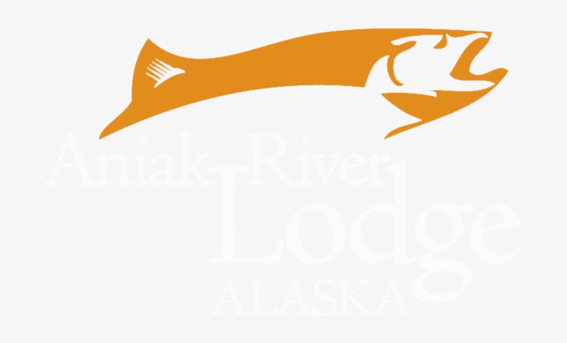 Logo, transparent png