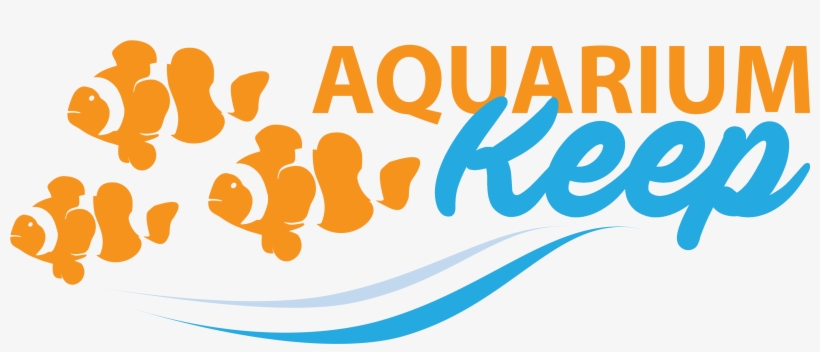 Aquarium Keep - Aquarium, transparent png