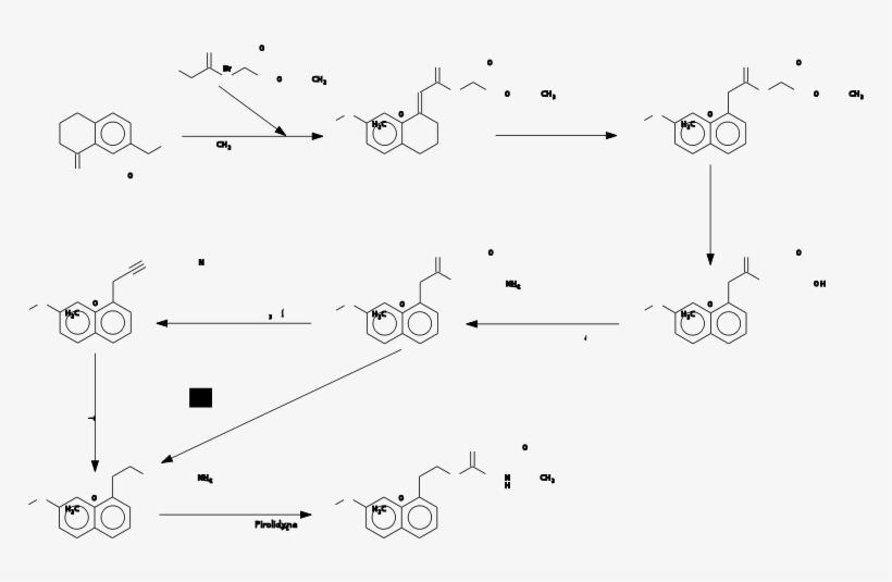 This Graphics Is The Synthesis Of Ago Mela Dean About - Agomelatine, transparent png