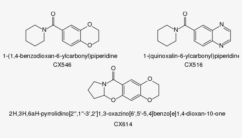 This Graphics Is Cortex Pharmaceutical Ampakines About - Ampakine, transparent png
