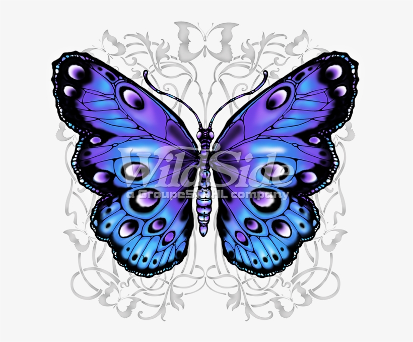 Blue And Purple Butterfly - Butterfly Plus Size T Shirts, transparent png