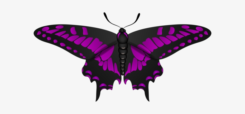 Butterfly Purple Black Clip Art Image Gallery - Clip Art, transparent png