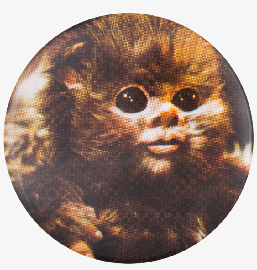 Collection 102+ Pictures Pictures Of Star Wars Ewoks Latest