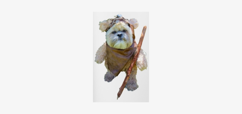 Cute May The 4th Be With You, transparent png