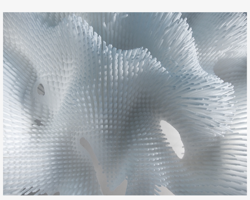 3d Printed Cillia 2 By Designer Richard Beckett - Richard Beckett, transparent png