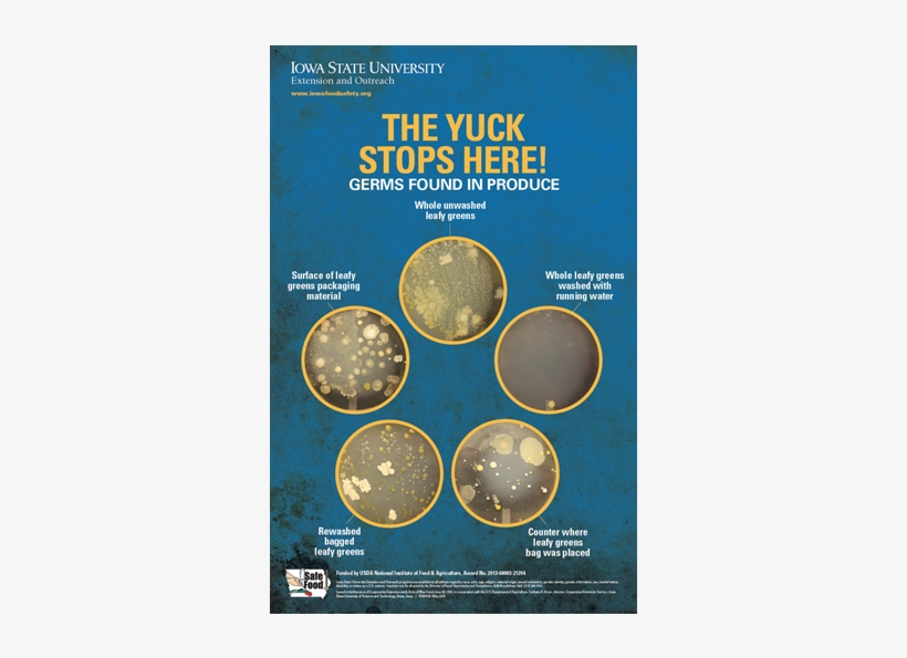 Leaf Vegetable, transparent png