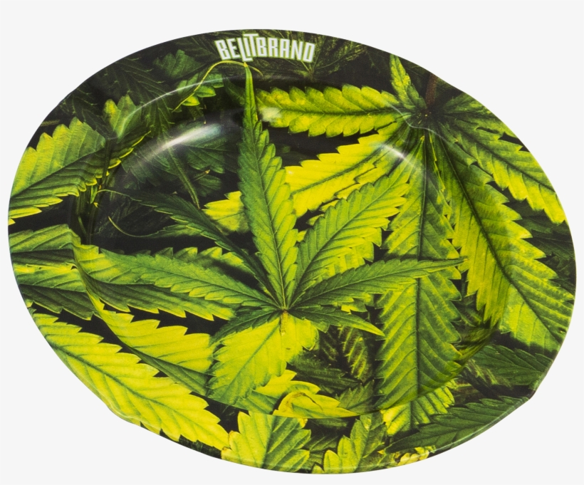 Be Lit Ashtray, Leafy - Marijuana Gardening: Step By Step Guide To Growing, transparent png