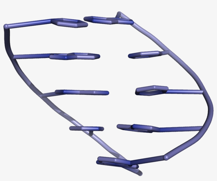 Cartoon Representation Of Base Stacking In A Dna Double - Stacking, transparent png