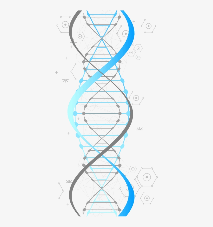 Double Helix Dna - Illustration, transparent png
