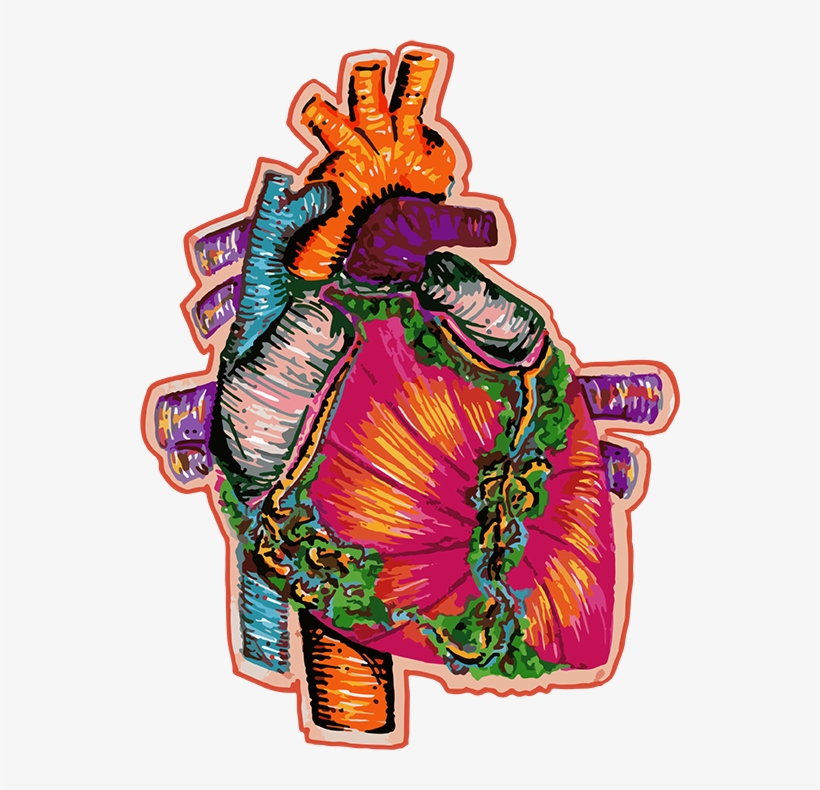 Previous / Next Image Thumbnails - Illustration, transparent png