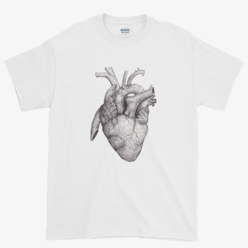 Men's "anatomical Heart" - Katatonia - The Fall Of Hearts - Cd - Digipack Cd, transparent png
