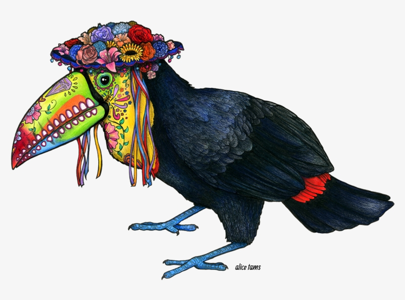 Keel Billed Toucan - Keel Billed Toucan Drawing, transparent png