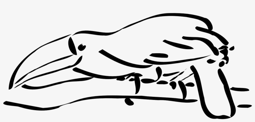 Tucan-logo - Toucan Outline, transparent png