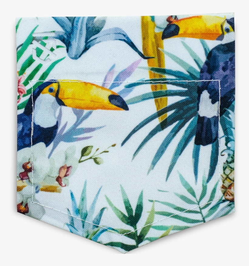 Tucan Me - Bullet Journal Beyond The Soul, transparent png